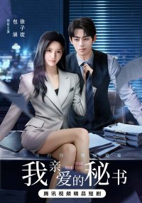 Мой дорогой секретарь (китайская версия) (2025)
